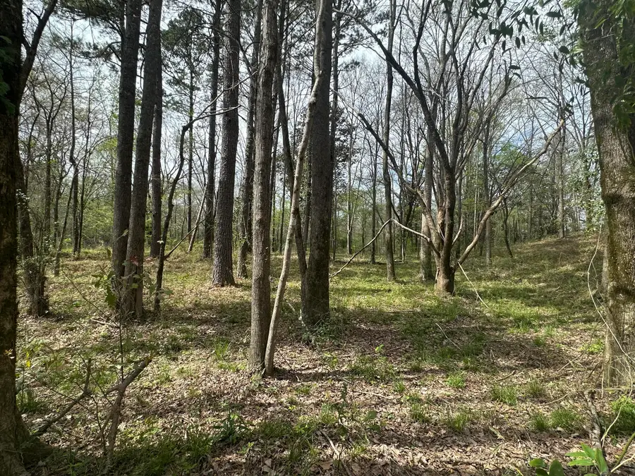 0B Riverwood Blvd., Hattiesburg, MS 39401 - #2