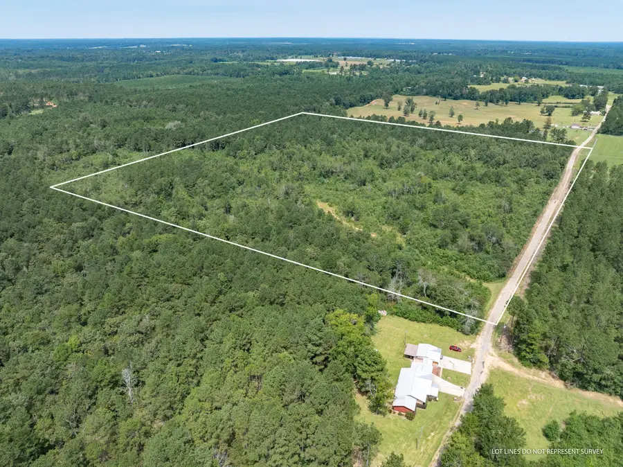 40 Acres Son's Ln., Mount Olive, MS 39119 - #3