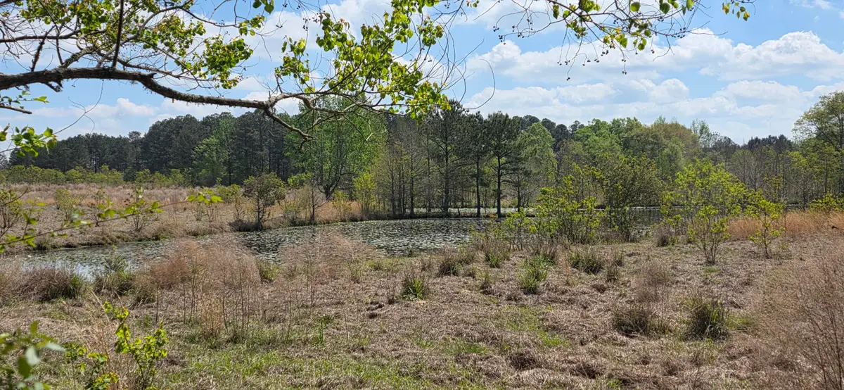 0 Butler Rd., Petal, MS 39465 - #1