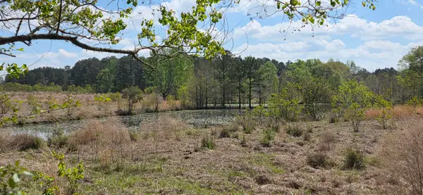 0 Butler Rd., Petal, MS 39465