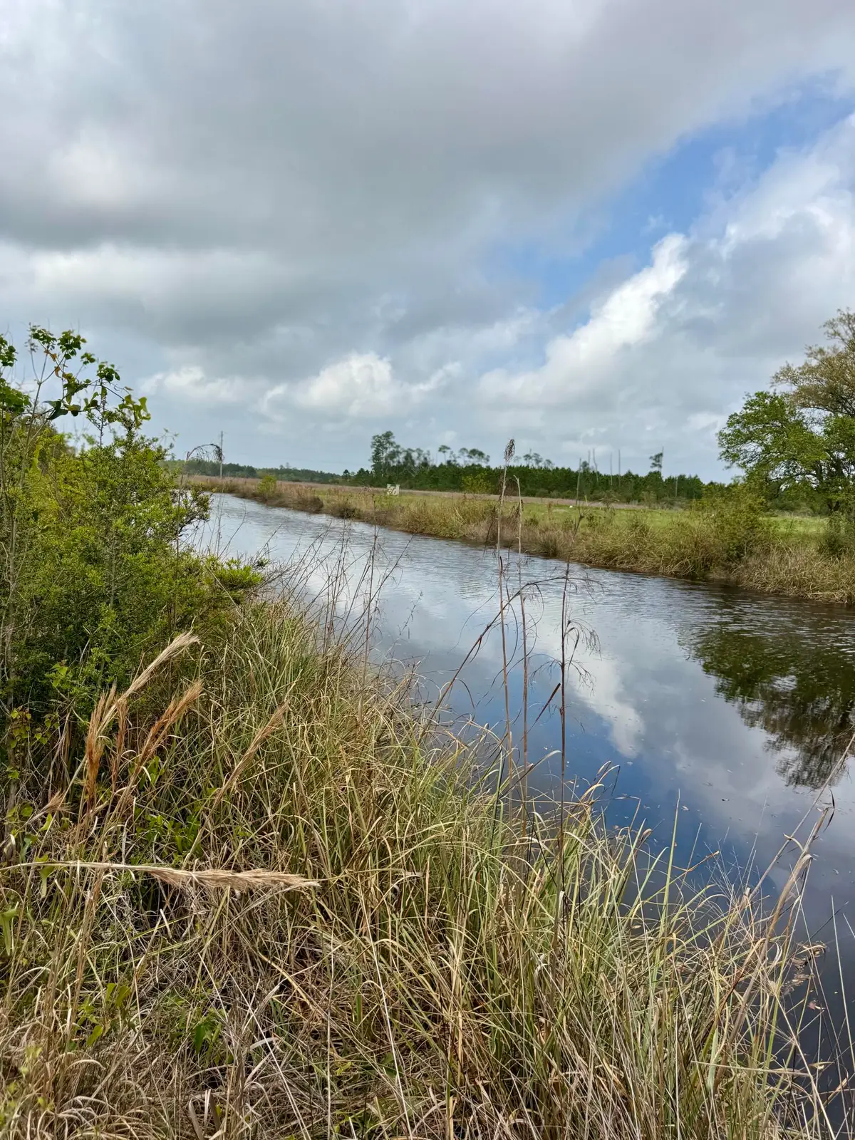 Lot 58 Atlantis Dr., Bay Saint Louis, MS 39520 - #1