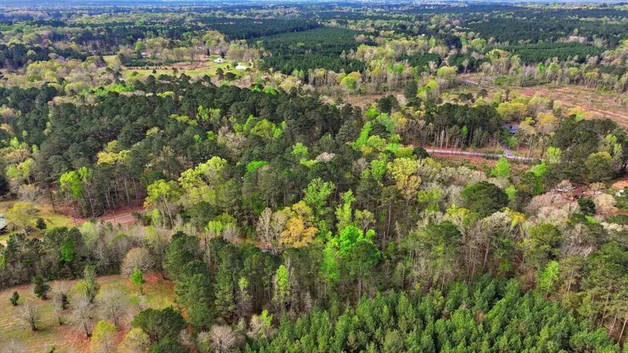 0 Harrisville Braxton, Braxton, MS 39044 - #2