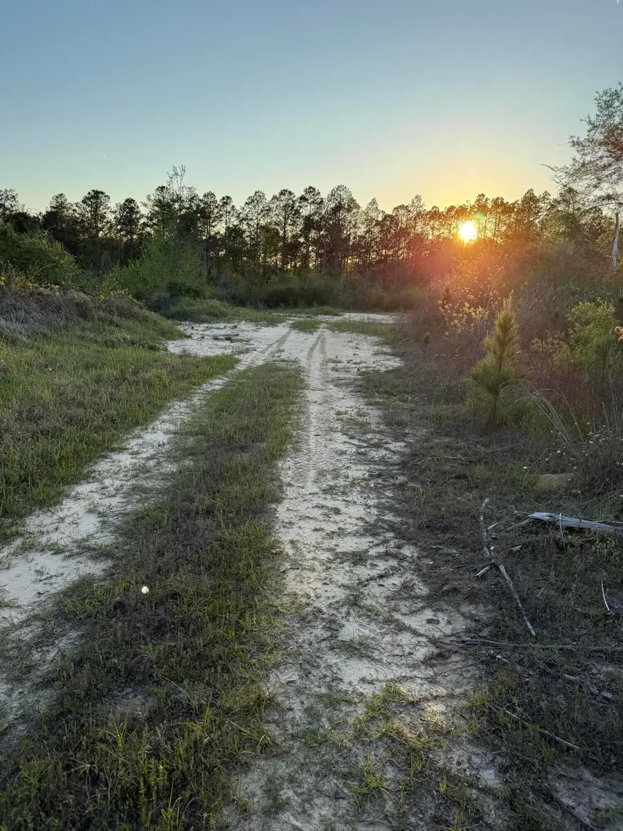 0 Stanford Lake, Poplarville, MS 39470 - #2