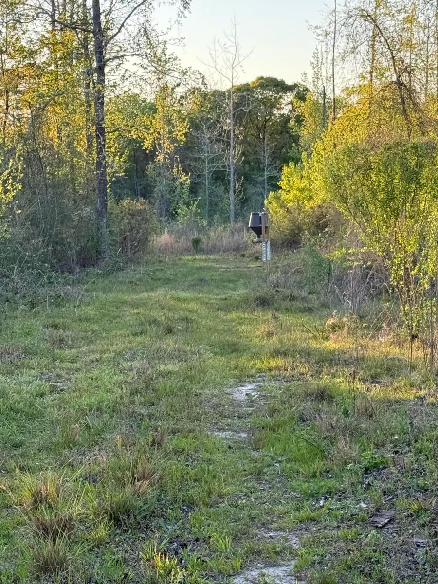 0 Stanford Lake, Poplarville, MS 39470 - #3