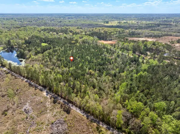 163 Piatonia, Lumberton, MS 39455