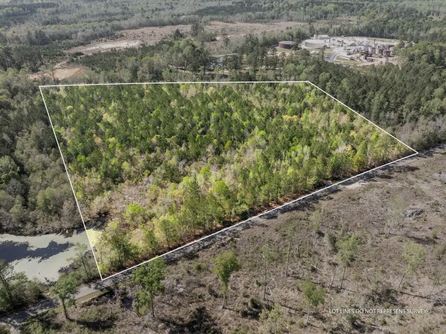 163 Piatonia, Lumberton, MS 39455 - #2