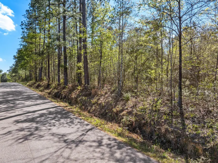 163 Piatonia, Lumberton, MS 39455 - #3