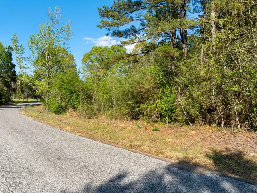 3 Acres Will Barber, Pinola, MS 39149 - #2