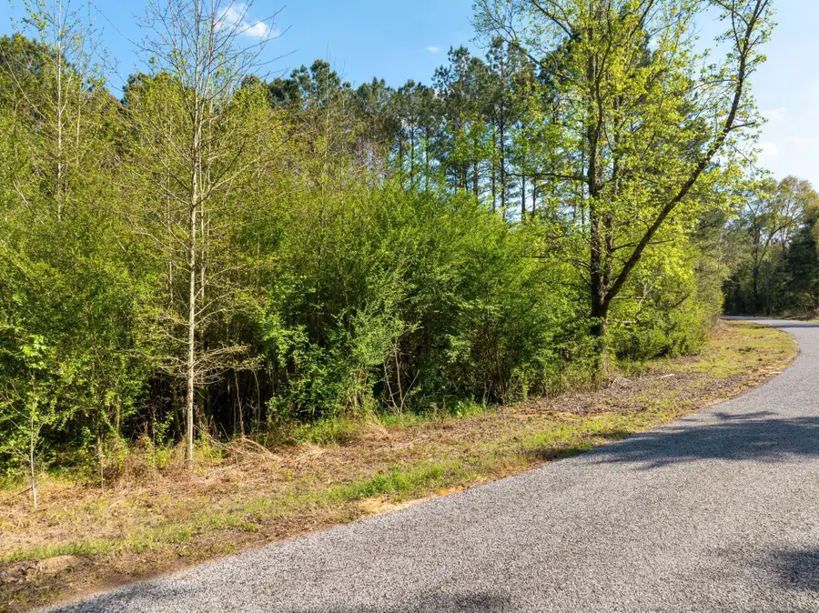 3 Acres Will Barber, Pinola, MS 39149 - #3