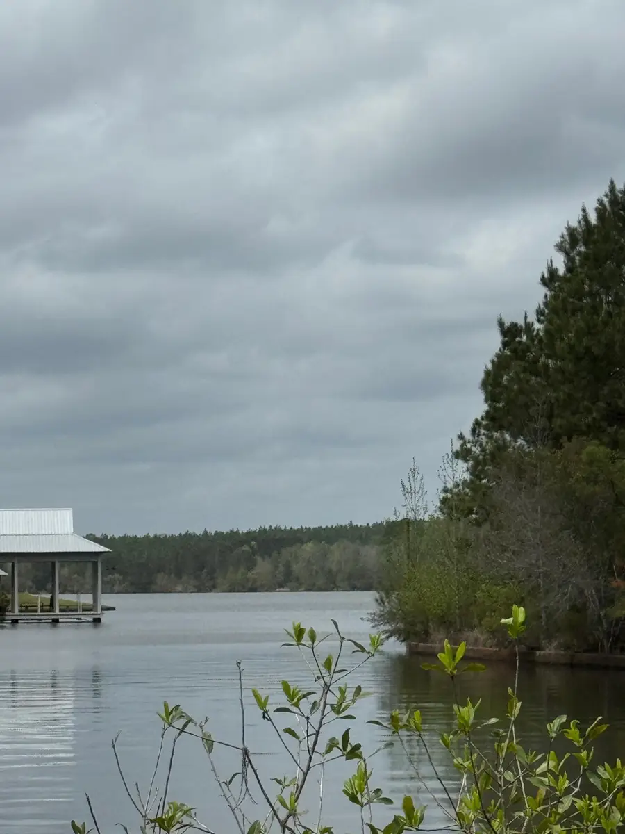 Lot 10 Reserve, Lumberton, MS 39455 - #3