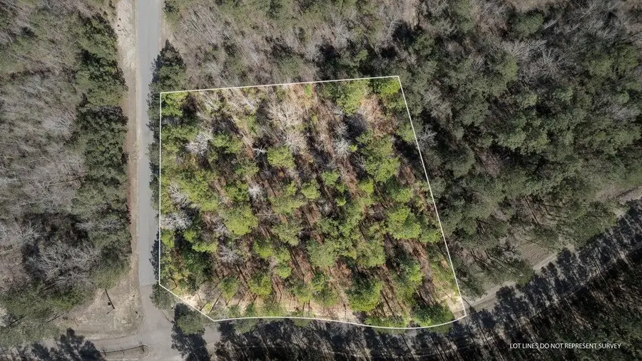 Lot D-15 Bent Pebble Point, Lumberton, MS 39455 - #2