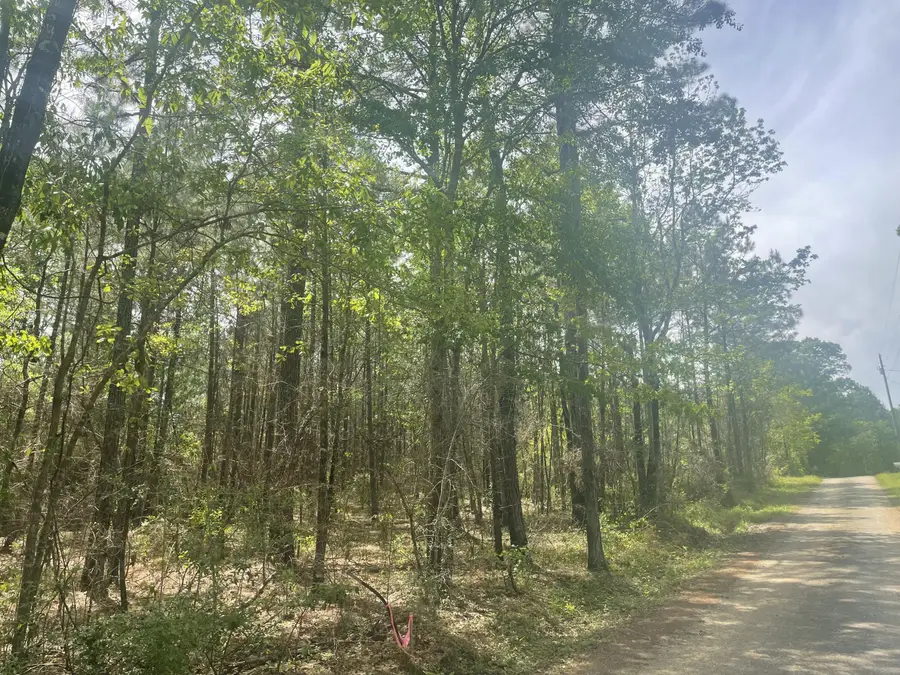 9.5 acres Debbie Brown Rd, Purvis, MS 39475 - #3