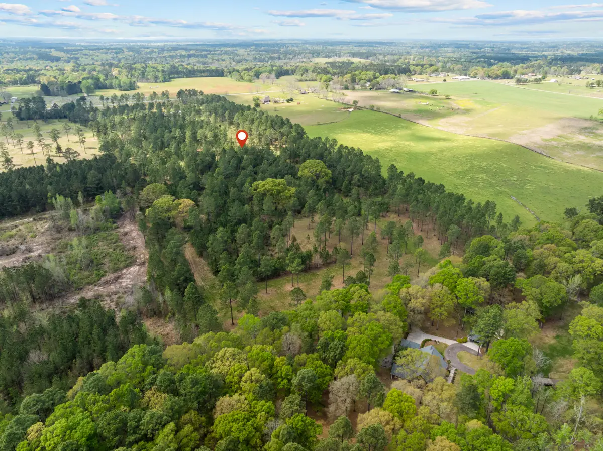 24.77 ac Coal Town, Purvis, MS 39475 - #1