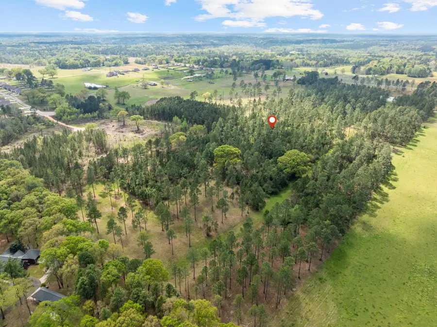 24.77 ac Coal Town, Purvis, MS 39475 - #2