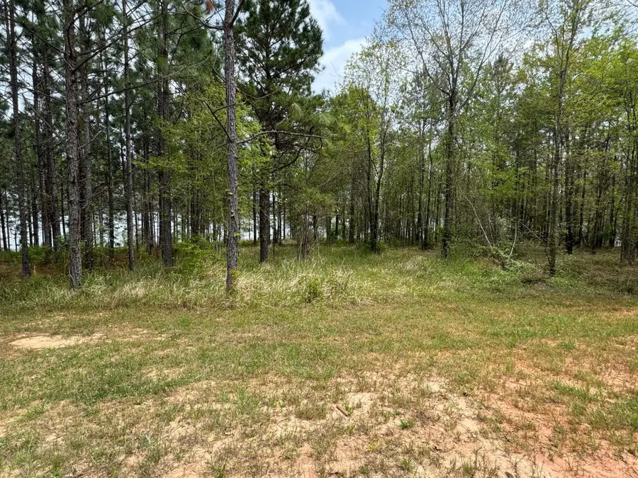 18 Red Wiggler Way, Lumberton, MS 39455 - #3