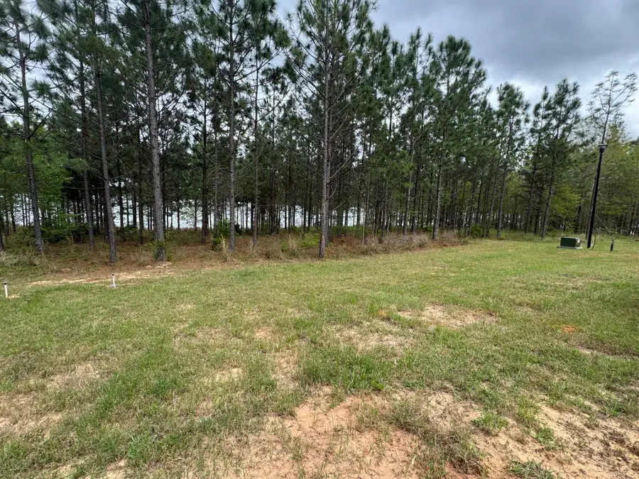 22 Red Wiggler Way, Lumberton, MS 39455 - #2