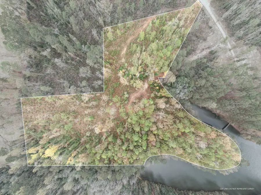 11 Acres Lot 3 Bridgewater Subdivision, Sumrall, MS 39482 - #2