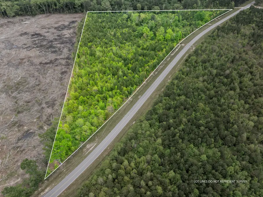 14.3+/-Ac Willow Dr., Richton, MS 39476 - #2