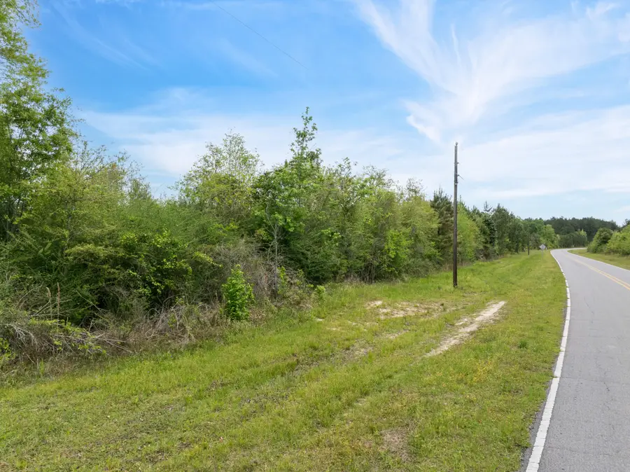 14.3+/-Ac Willow Dr., Richton, MS 39476 - #3