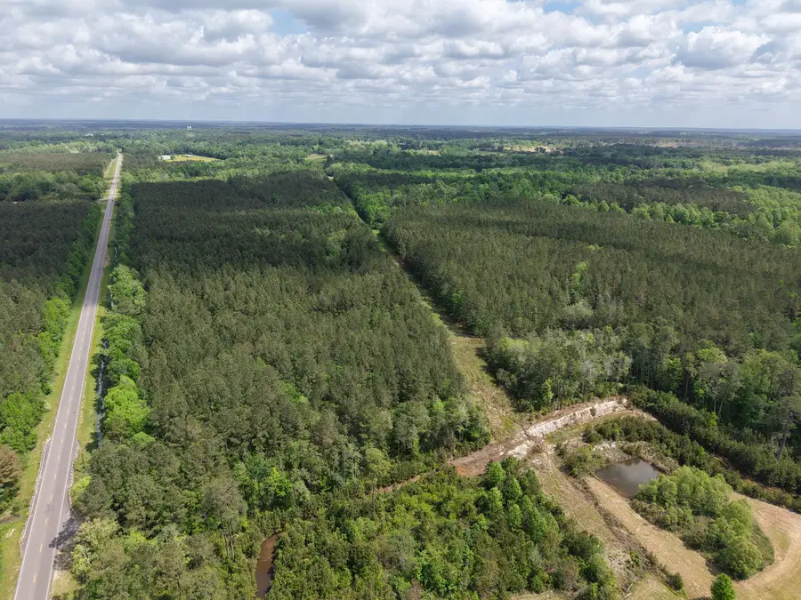 0 Route 11, Moselle, MS 39459 - #2