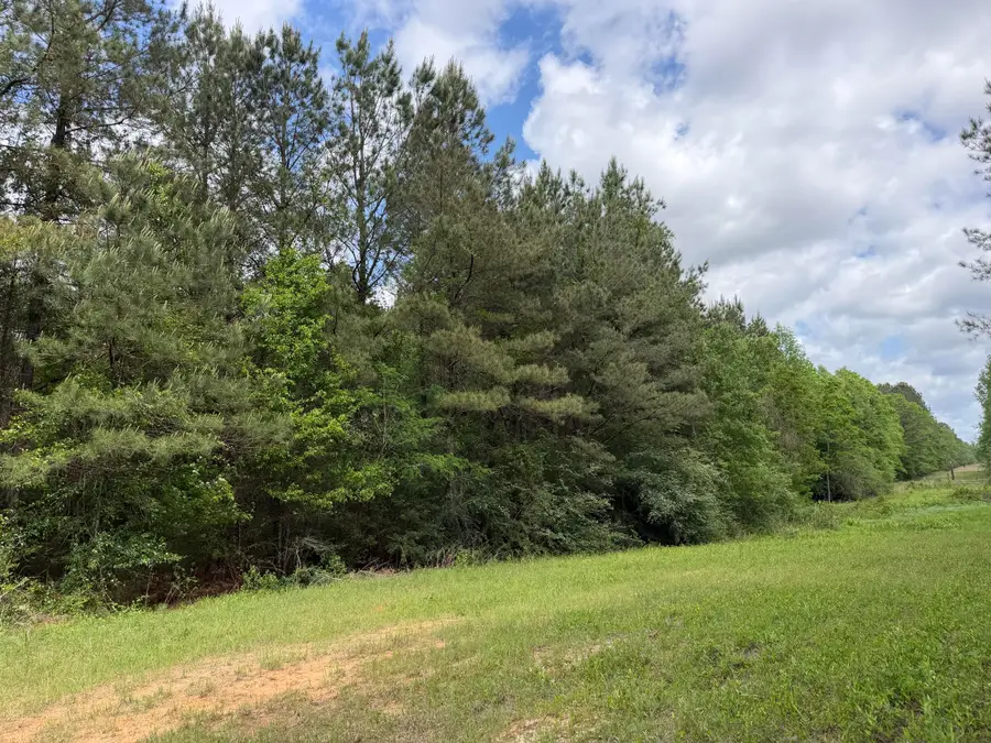 0 Route 11, Moselle, MS 39459 - #3
