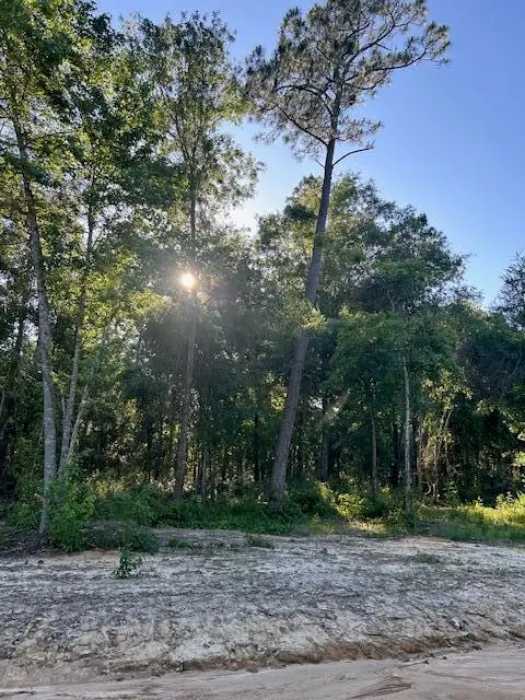 04 Savannah Millard Rd., Poplarville, MS 39470 - #3