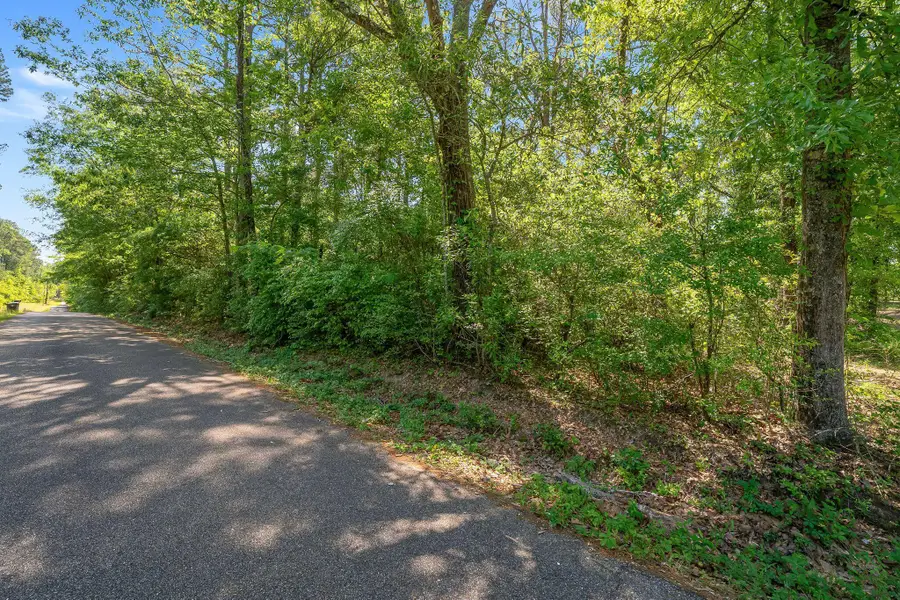 0000 Brewer, Purvis, MS 39475 - #3