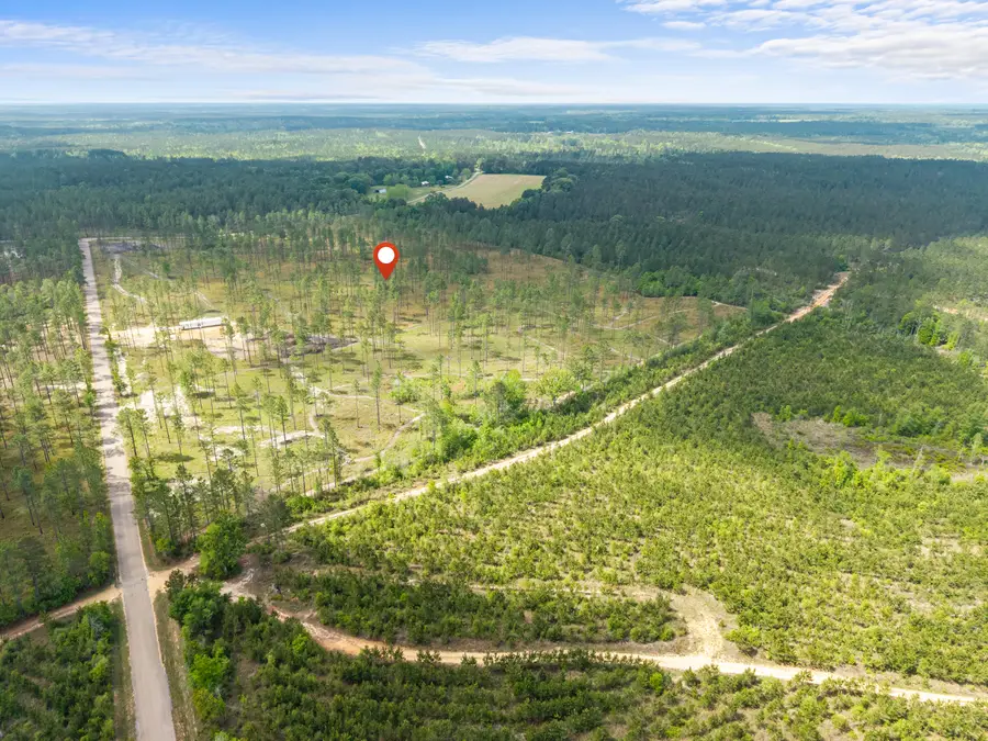 16.72 Ac. Courtney Rd., Lumberton, MS 39455 - #3