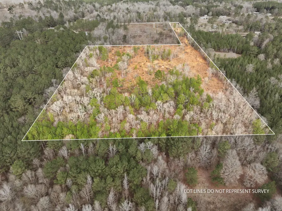 13.2+/- Ac Morriston Rd., Petal, MS 39465 - #2