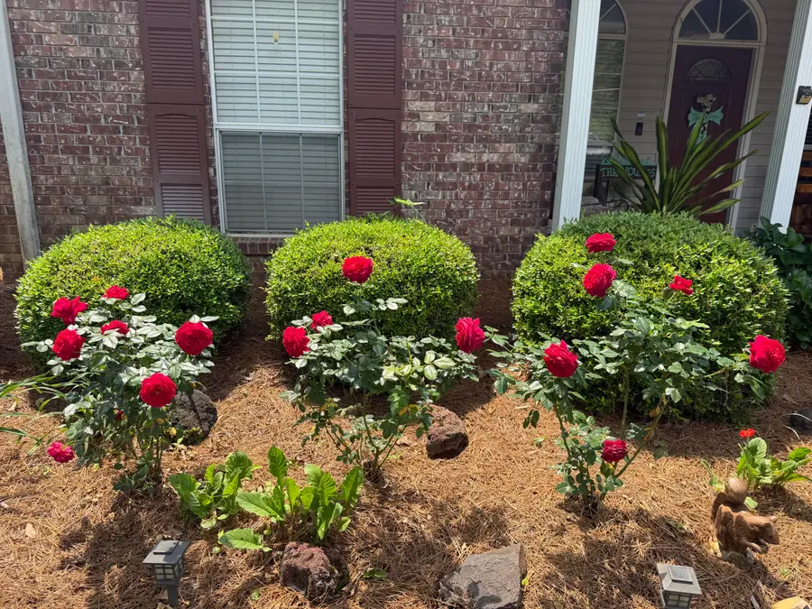 444 Beaver Lake, Purvis, MS 39475 - #3