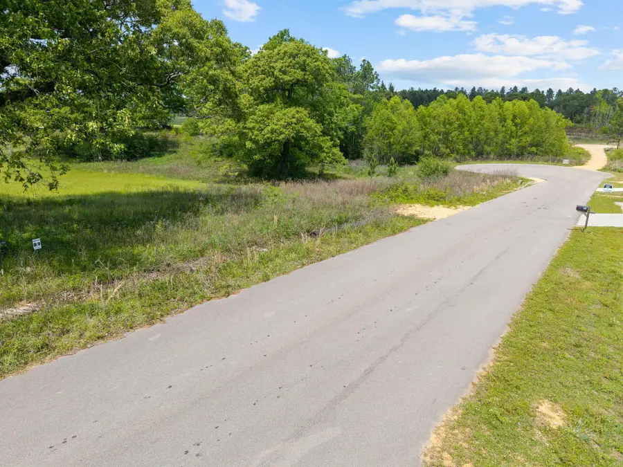 41 Sapphire Dr., Purvis, MS 39475 - #3