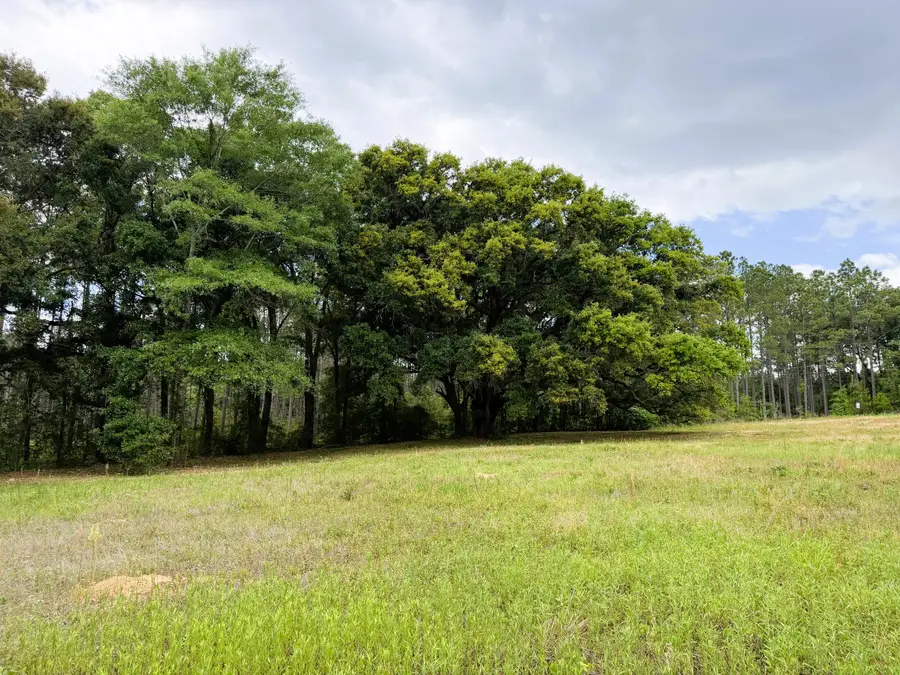 0000 Talowah Rd., Purvis, MS 39475 - #3