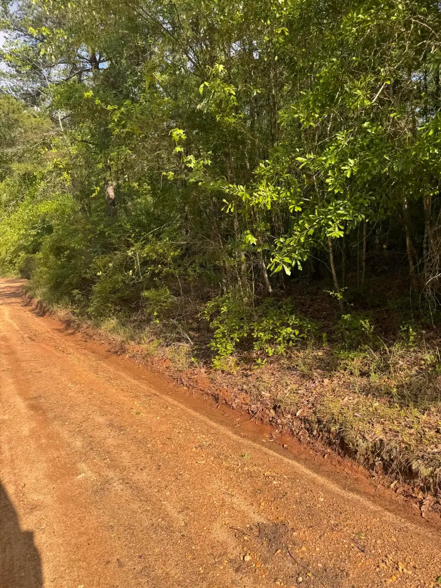 0000 Bryant Ln., Magee, MS 39111 - #3