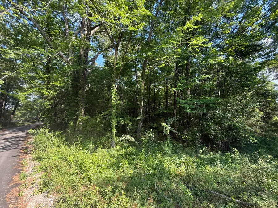 00 N Main St., Columbia, MS 39429 - #2