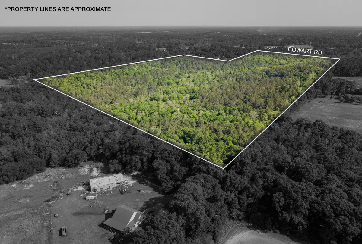 74 +/- Ac Cowart Rd., Lucedale, MS 39452 - #1