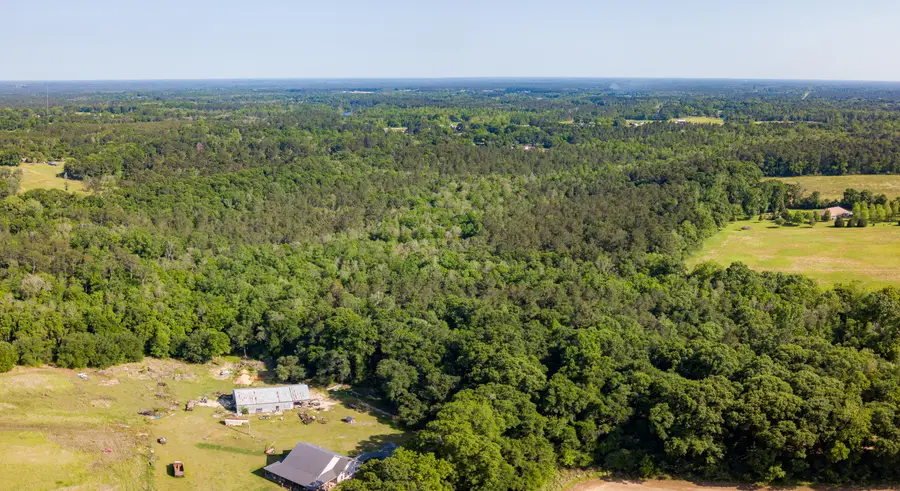 74 +/- Ac Cowart Rd., Lucedale, MS 39452 - #3
