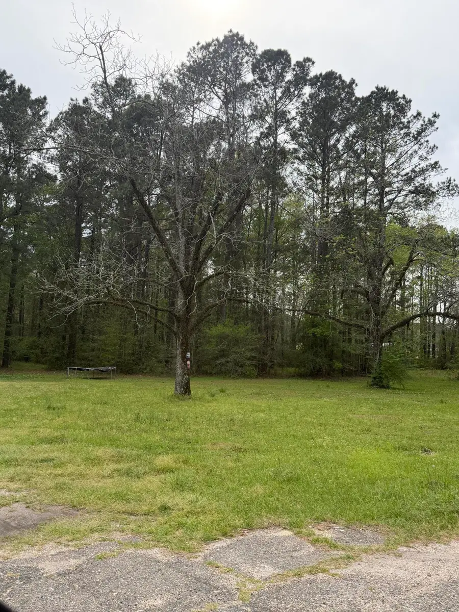 214 Gamble St., Hattiesburg, MS 39401 - #2
