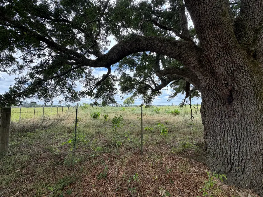 12 Acres Good Hill Rd., Lumberton, MS 39455 - #2