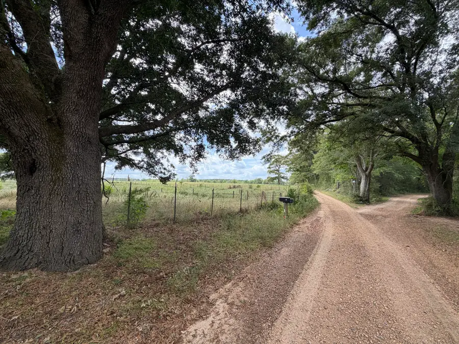 12 Acres Good Hill Rd., Lumberton, MS 39455 - #3