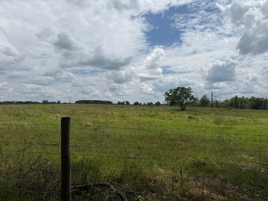 17 Acres Good Hill Rd., Lumberton, MS 39455 - #2