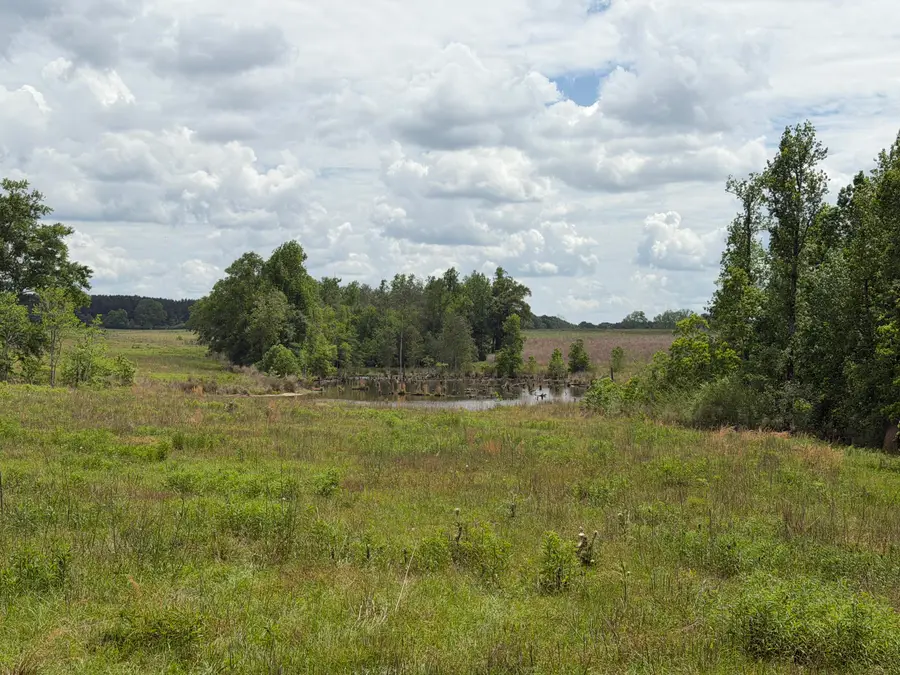 18 Acres Good Hill, Lumberton, MS 39455 - #2