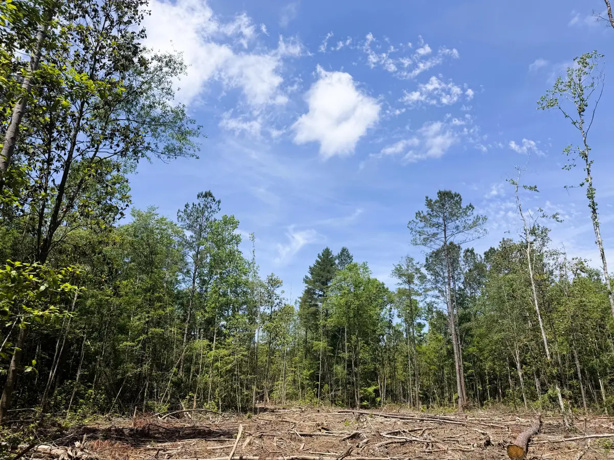 00 301c1, Brooklyn, MS 39425 - #1