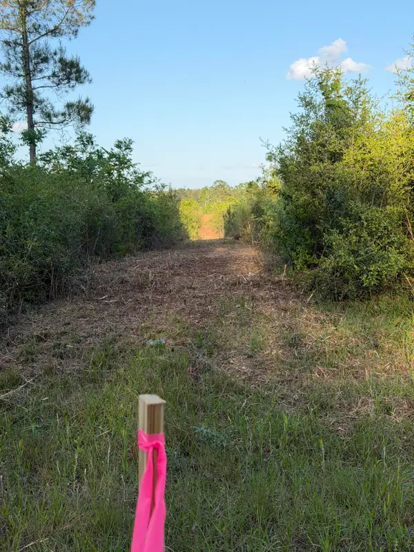 14.6 Acres Hwy 48 East, Sandy Hook, MS 39478