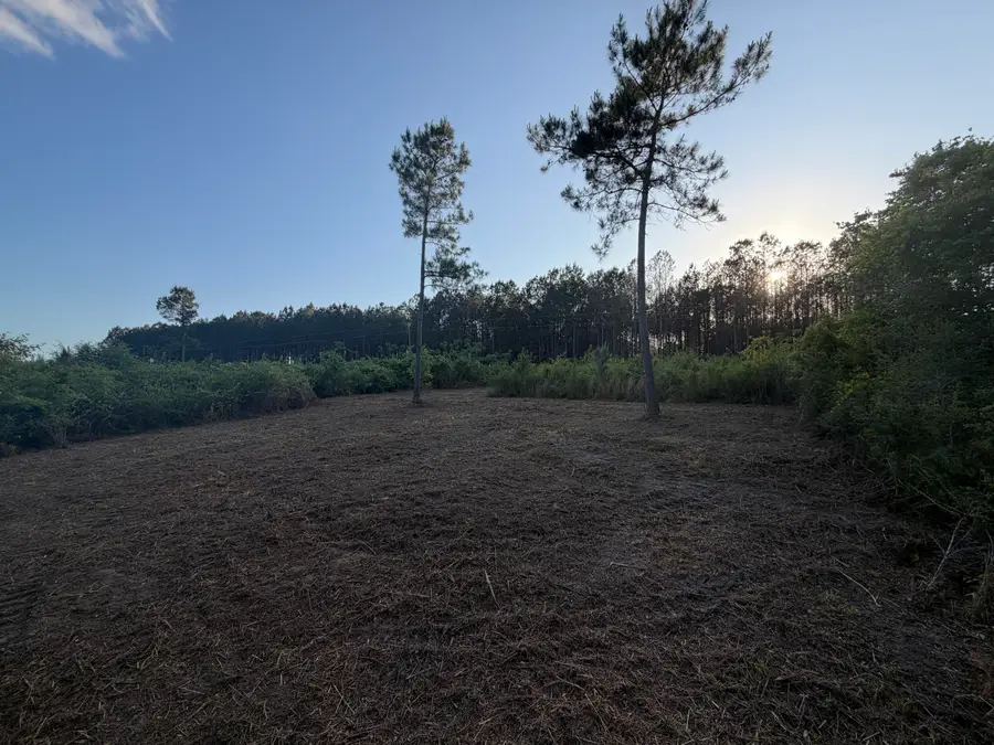 14.6 Acres Hwy 48 East, Sandy Hook, MS 39478 - #2