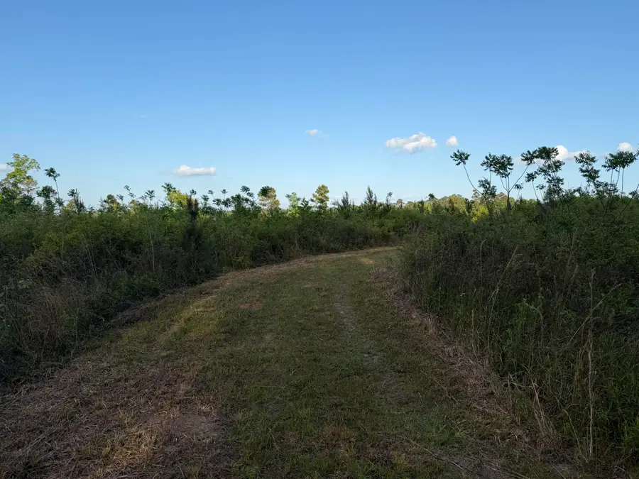 5 Acres Mt. Bethel Rd., Sandy Hook, MS 39478 - #2