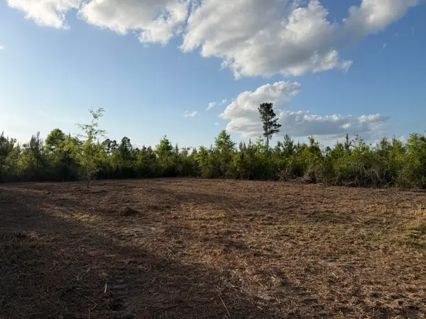 6.2 Acres Mt Bethel Rd., Sandy Hook, MS 39478