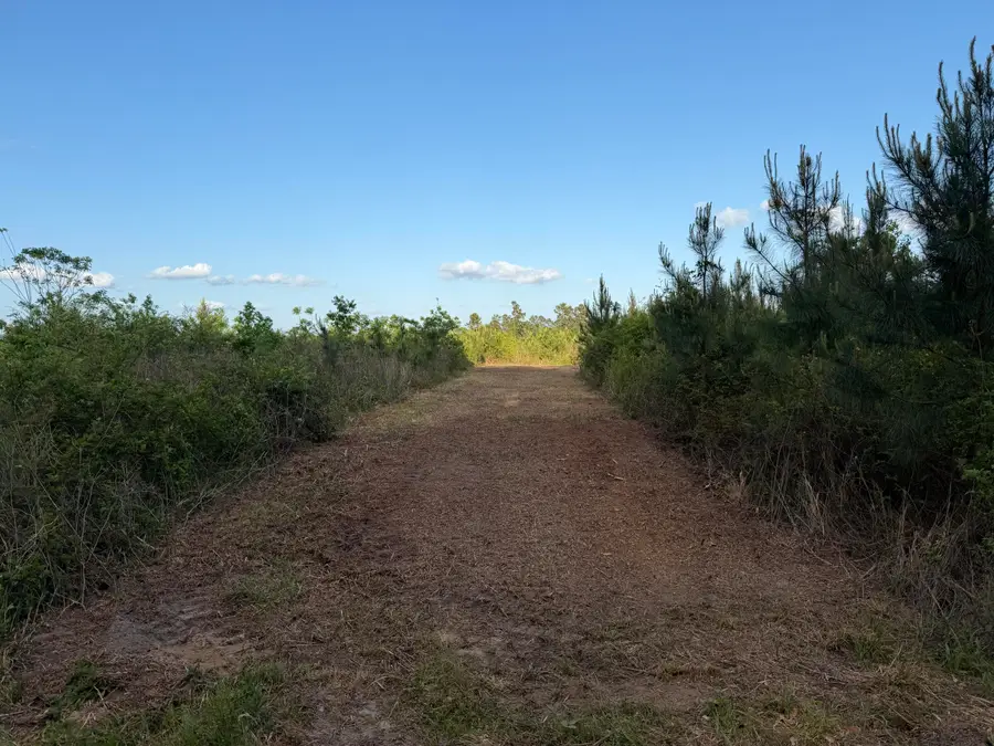 6.2 Acres Mt Bethel Rd., Sandy Hook, MS 39478 - #3