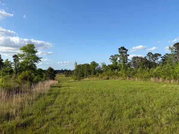 8 Acres Hwy 48 East, Sandy Hook, MS 39478