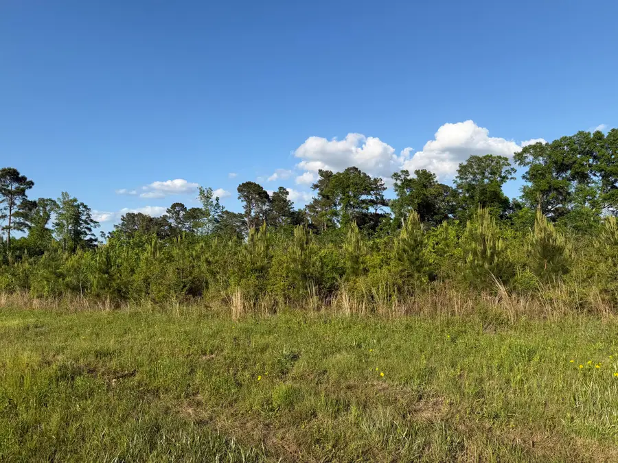 8 Acres Hwy 48 East, Sandy Hook, MS 39478 - #2