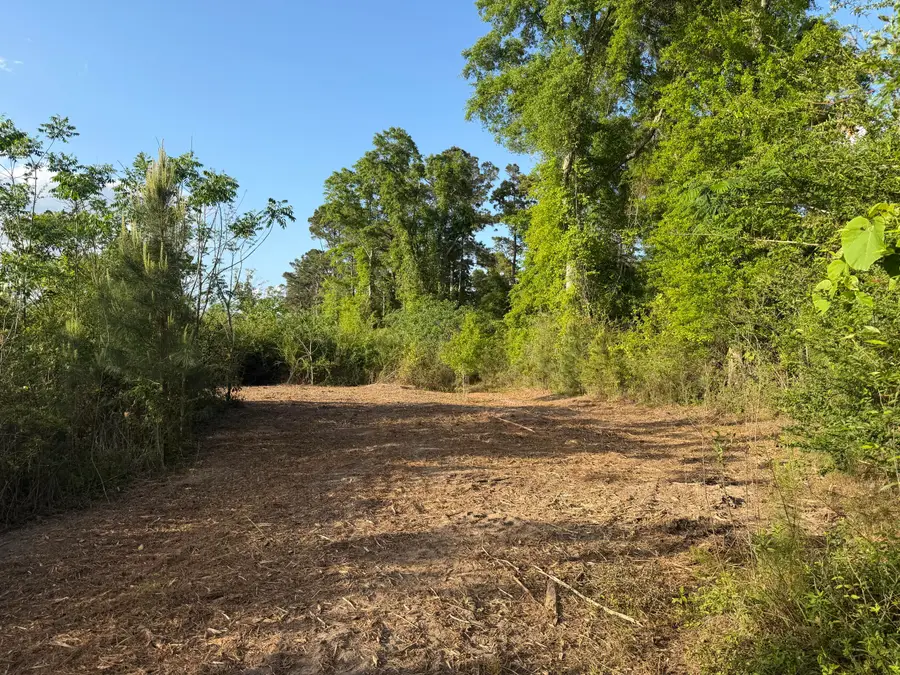 8 Acres Hwy 48 East, Sandy Hook, MS 39478 - #3